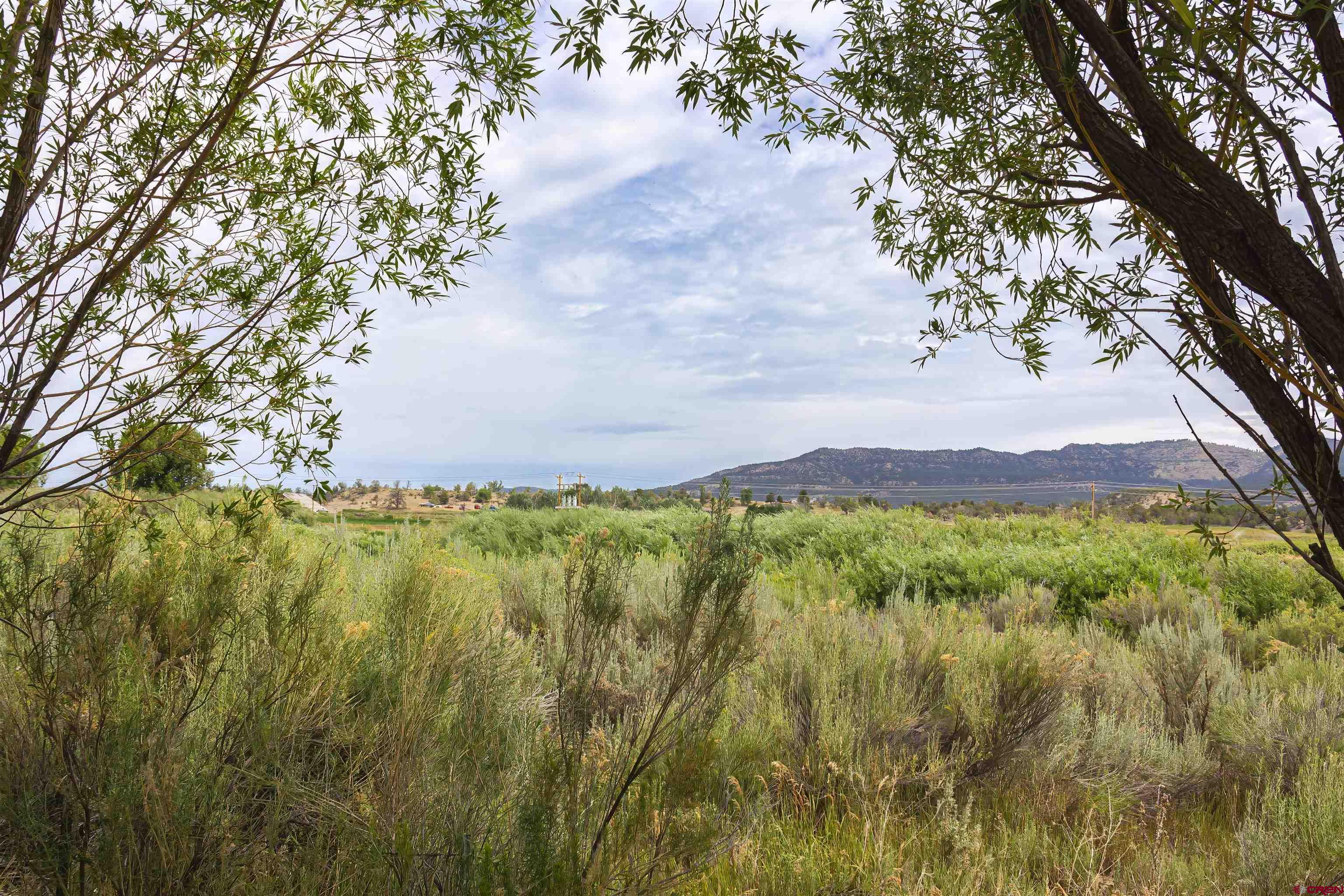 a view of a lake and green valley