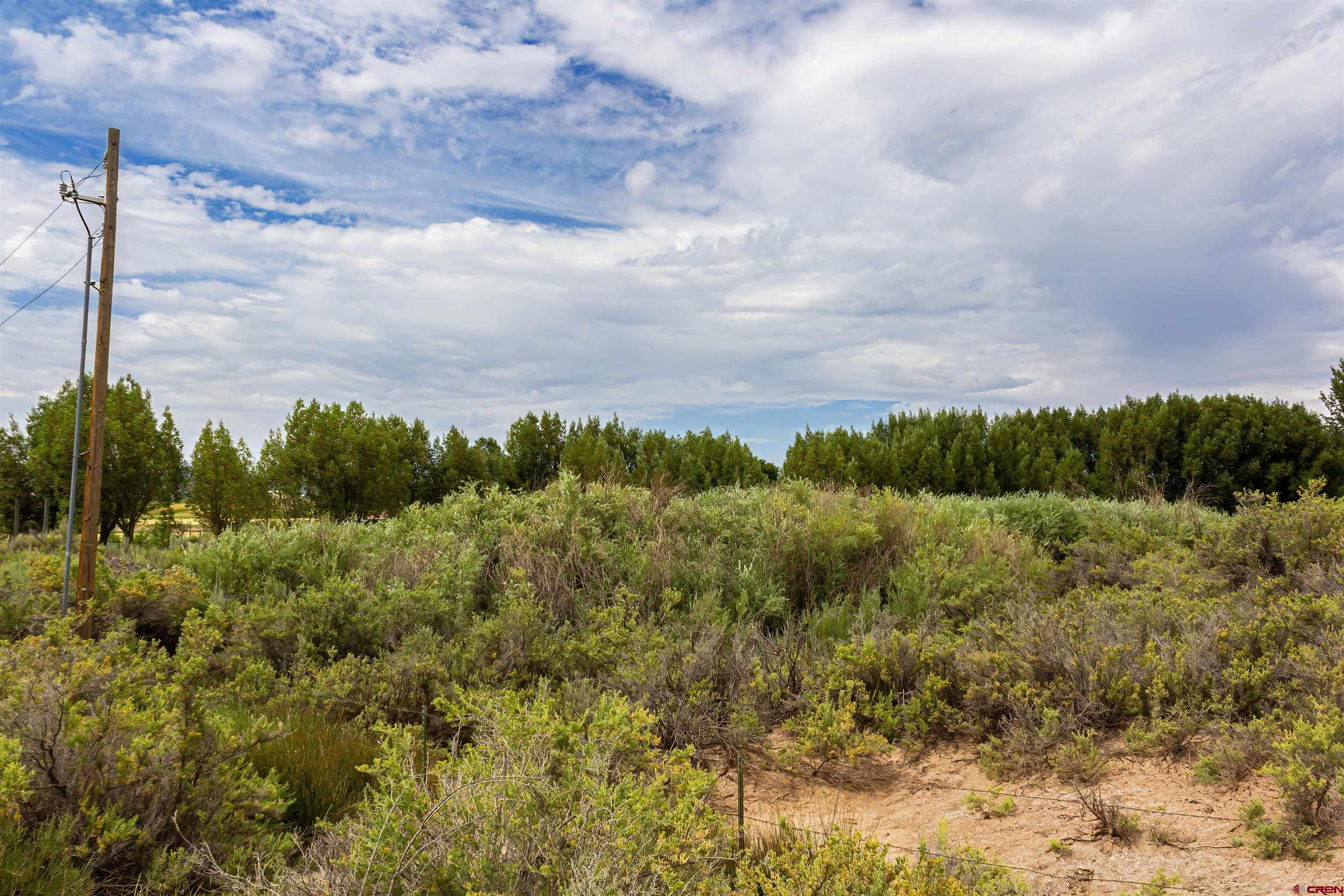 X Cox Circle Ignacio, CO 81137 - Photo 11 of 26