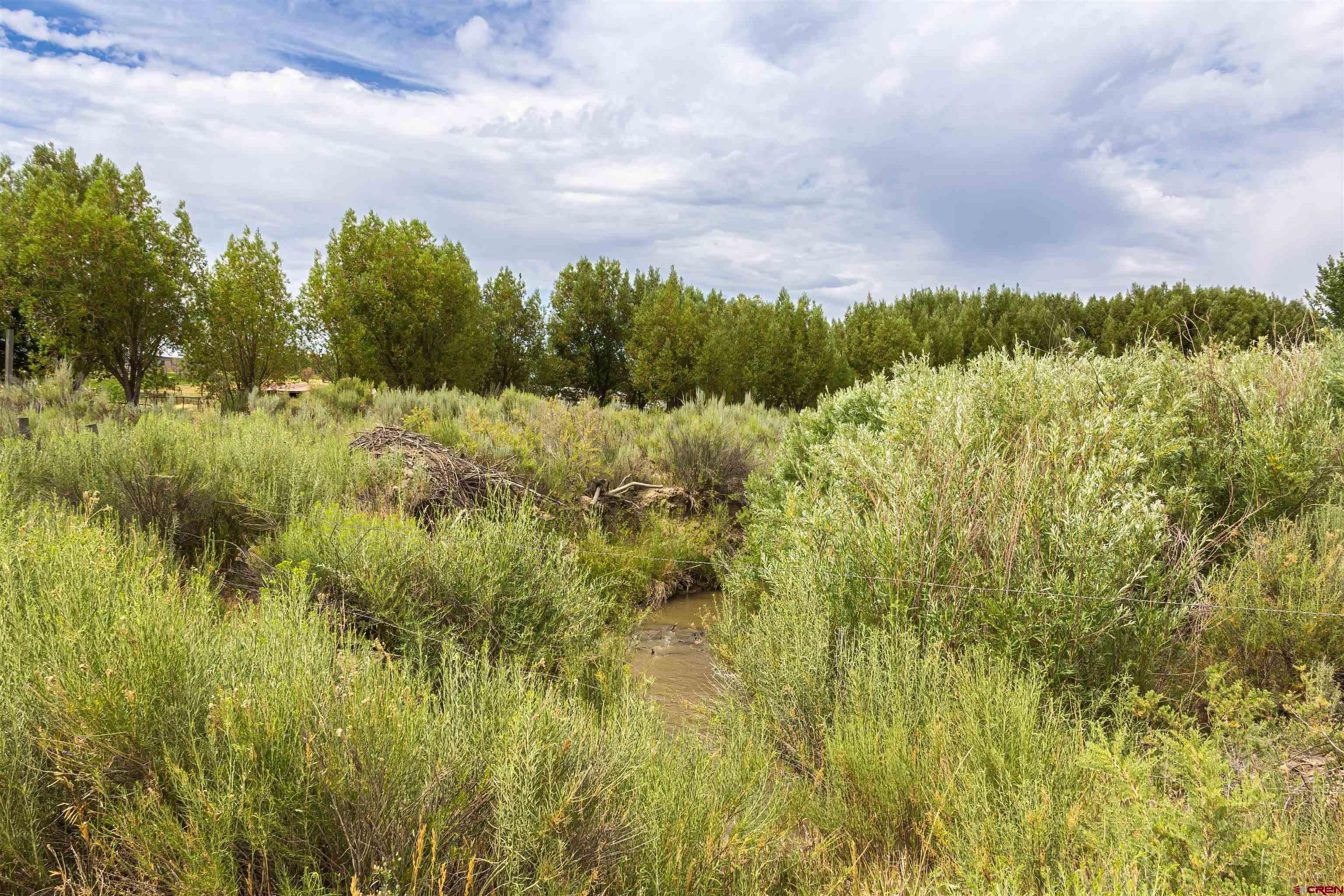X X Cox Circle Ignacio, CO 81137 - Photo 2 of 26