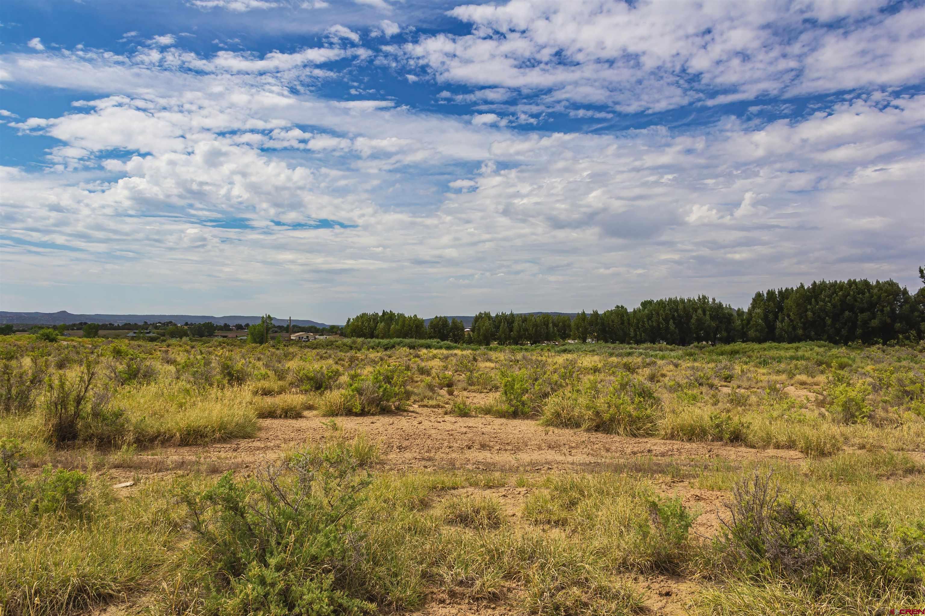 X X Cox Circle Ignacio, CO 81137 - Photo 22 of 26