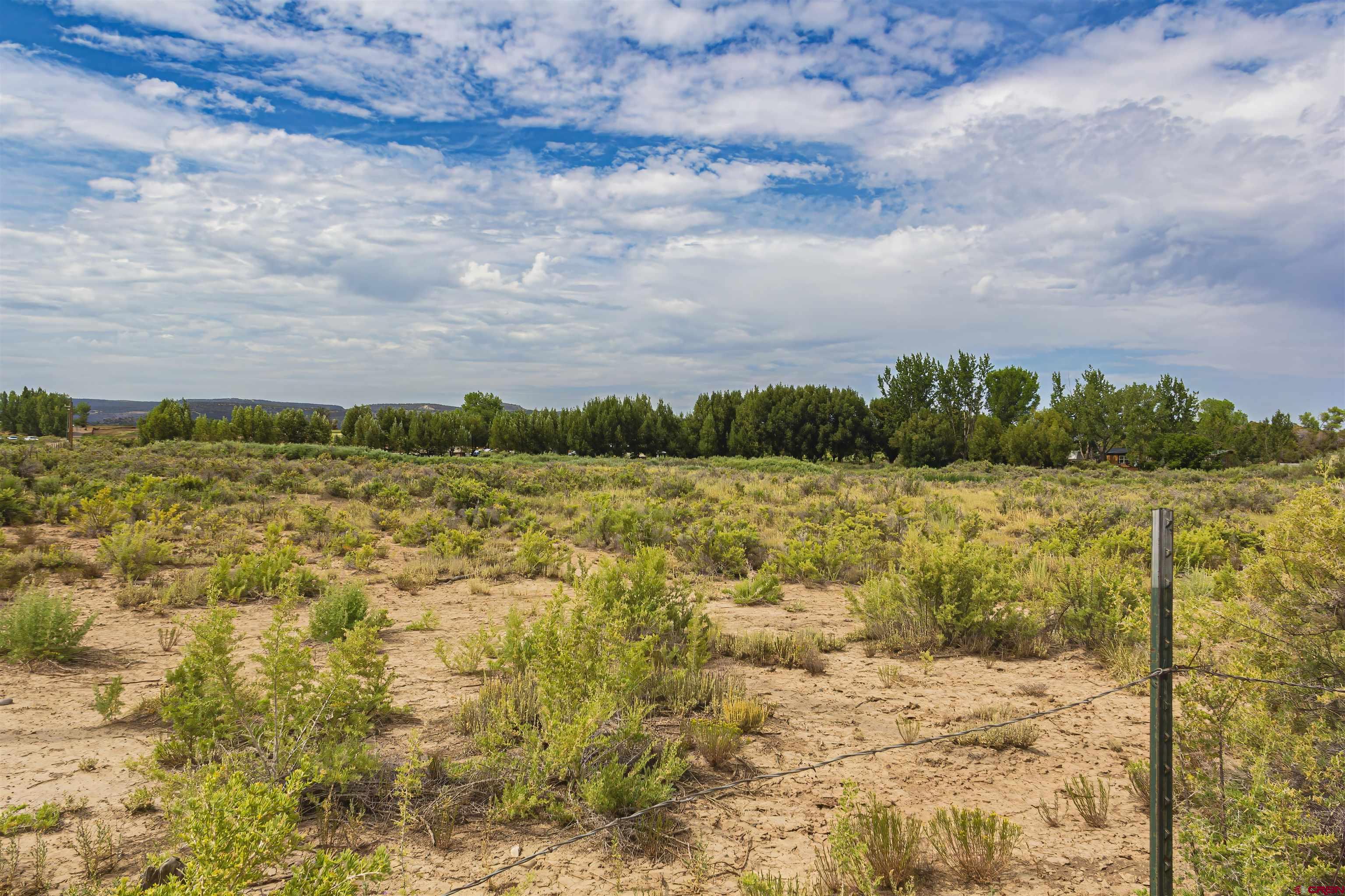 X X Cox Circle Ignacio, CO 81137 - Photo 23 of 26