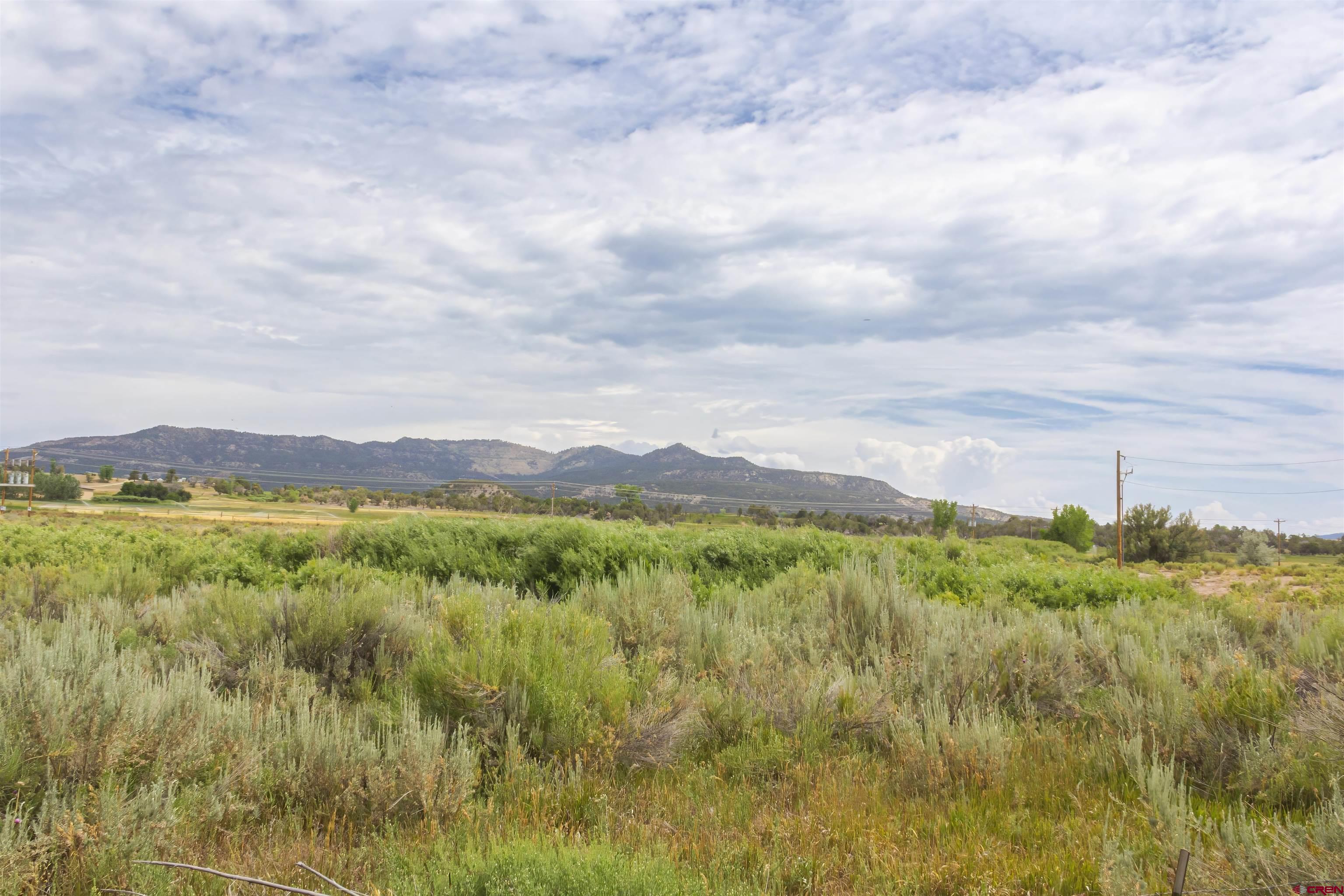 X Cox Circle Ignacio, CO 81137 - Photo 4 of 26