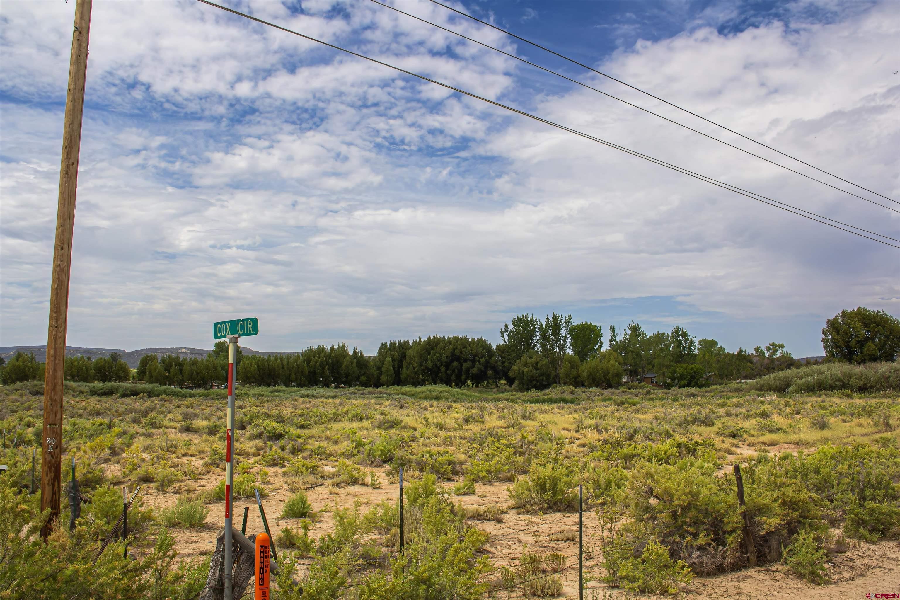 X X Cox Circle Ignacio, CO 81137 - Photo 6 of 26