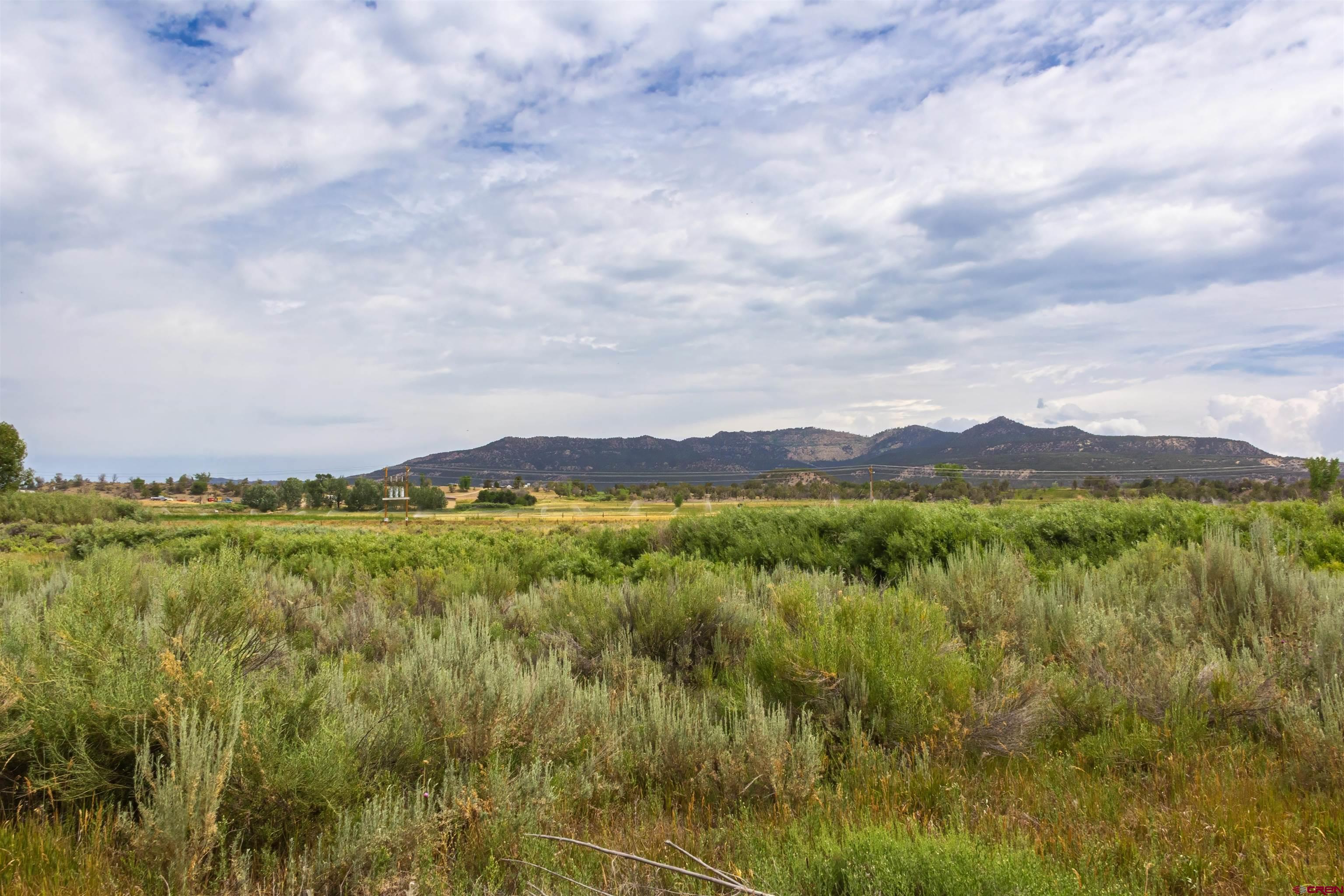 X Cox Circle Ignacio, CO 81137 - Photo 6 of 26