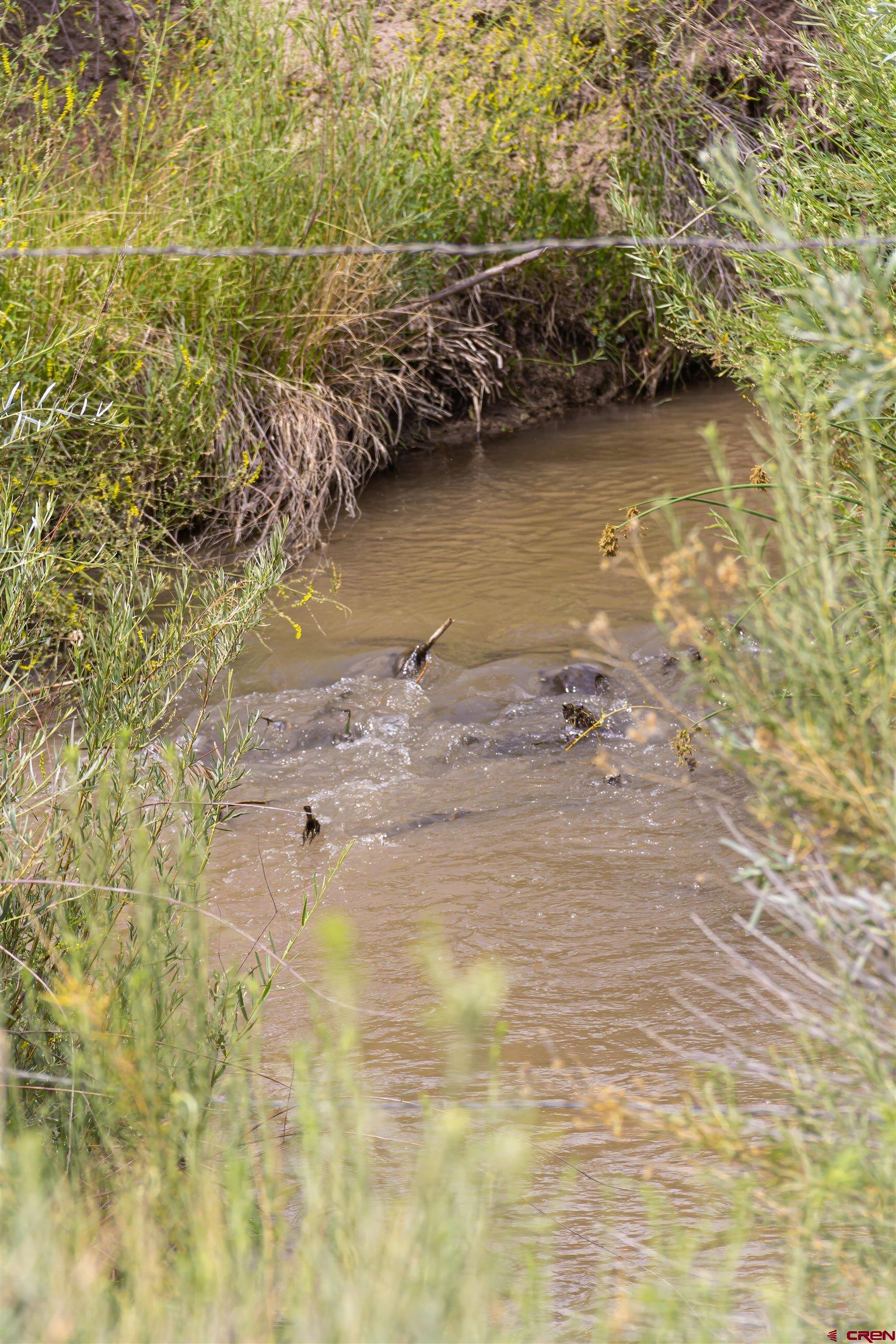 X Cox Circle Ignacio, CO 81137 - Photo 9 of 26