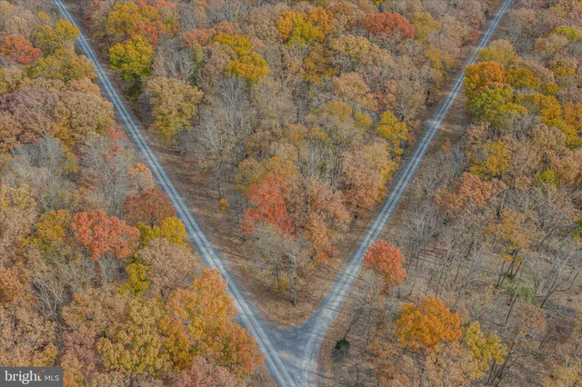 a view of a house with backyard and trees