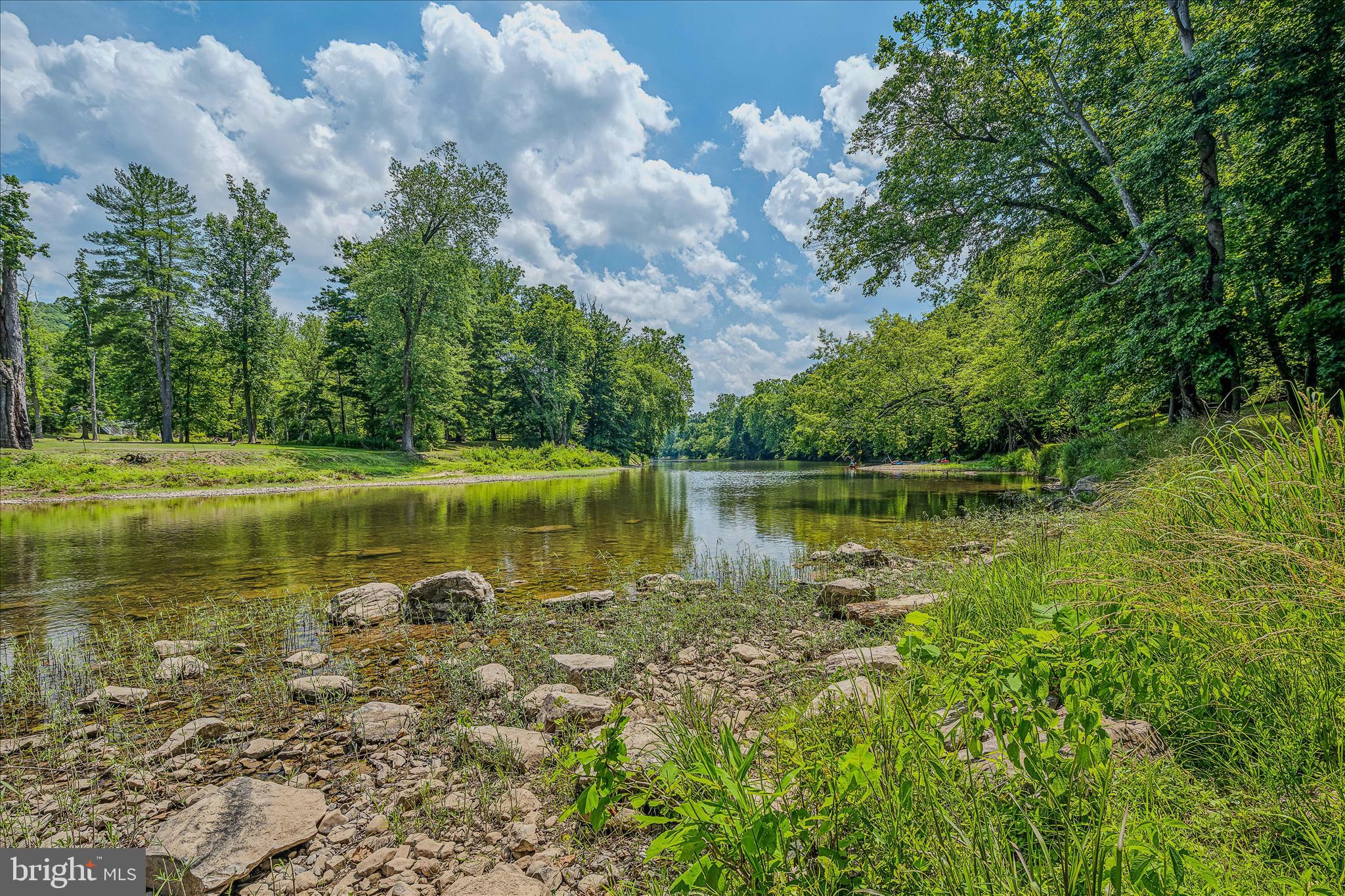 67 Tranquil Way Berkeley Springs, WV 25411 - Photo 36 of 37 a view of a lake with a yard and large trees