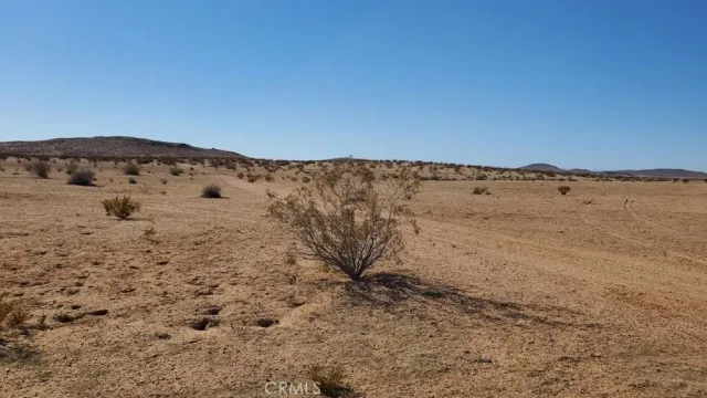 a view of a dry field with mountains in the background