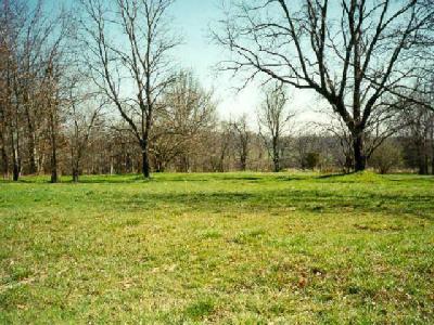 850 South S Farm Springfield, MO 65809 - Photo 1 of 1 Primary Photo