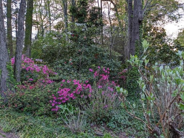 1324 Ravenhurst Drive Raleigh, NC 27615 - Photo 56 of 65 Photo 70