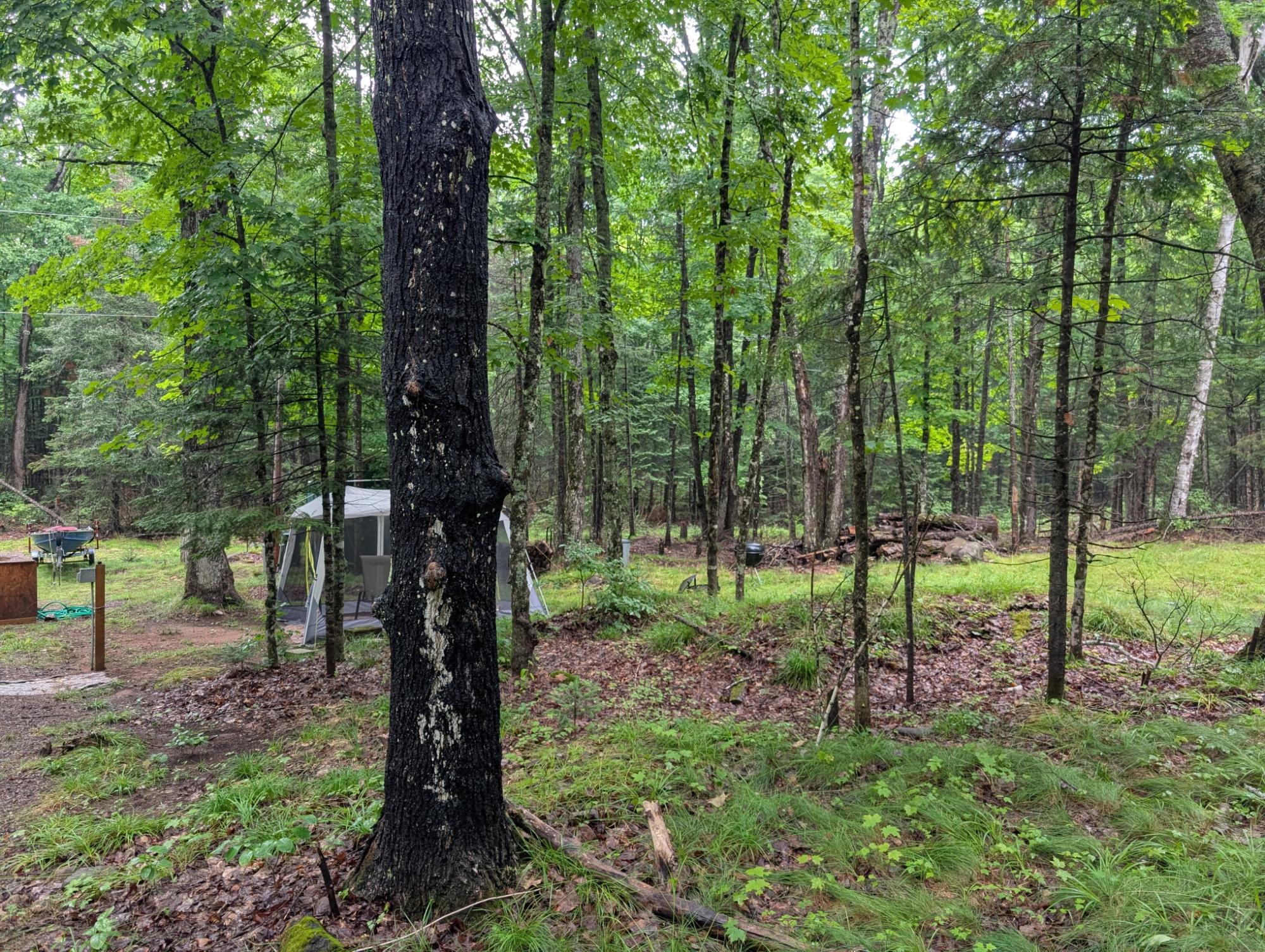 N2498 Duck Lake Road East Watersmeet, MI 49969 - Photo 6 of 11 Gallery Image 6