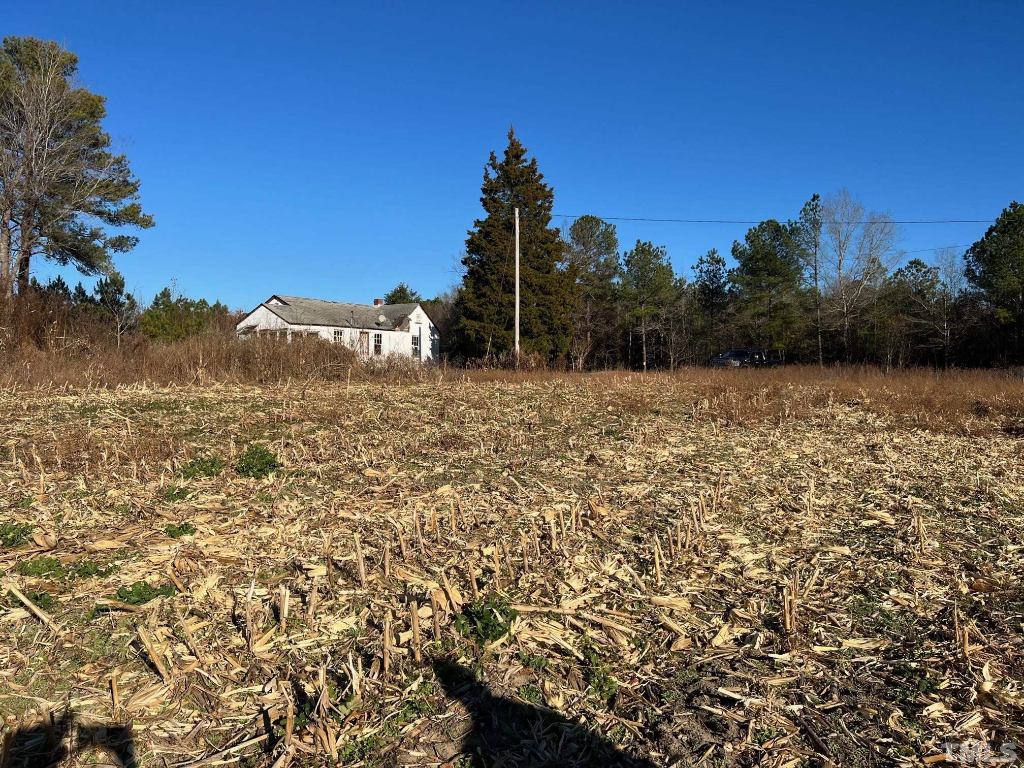 204 Gilchrist Road Carthage, NC 28327 - Photo 5 of 7
