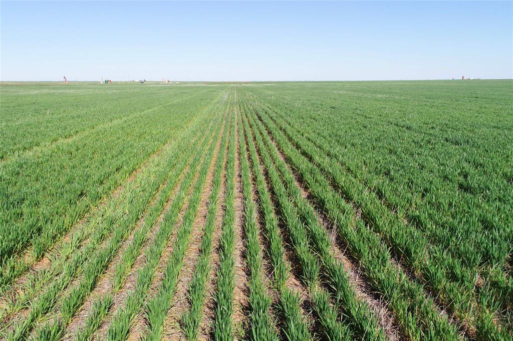 81 County Road 81 South Vernon, TX 76384 - Photo 11 of 28 a view of yard with ocean view