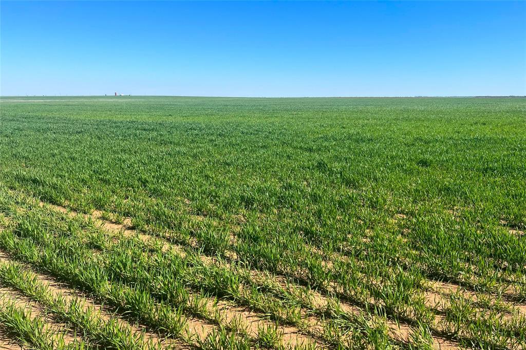 81 County Road 81 South Vernon, TX 76384 - Photo 15 of 28 an aerial view of residential houses with outdoor space and trees