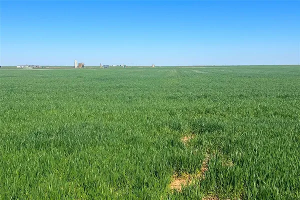a view of a field with an ocean