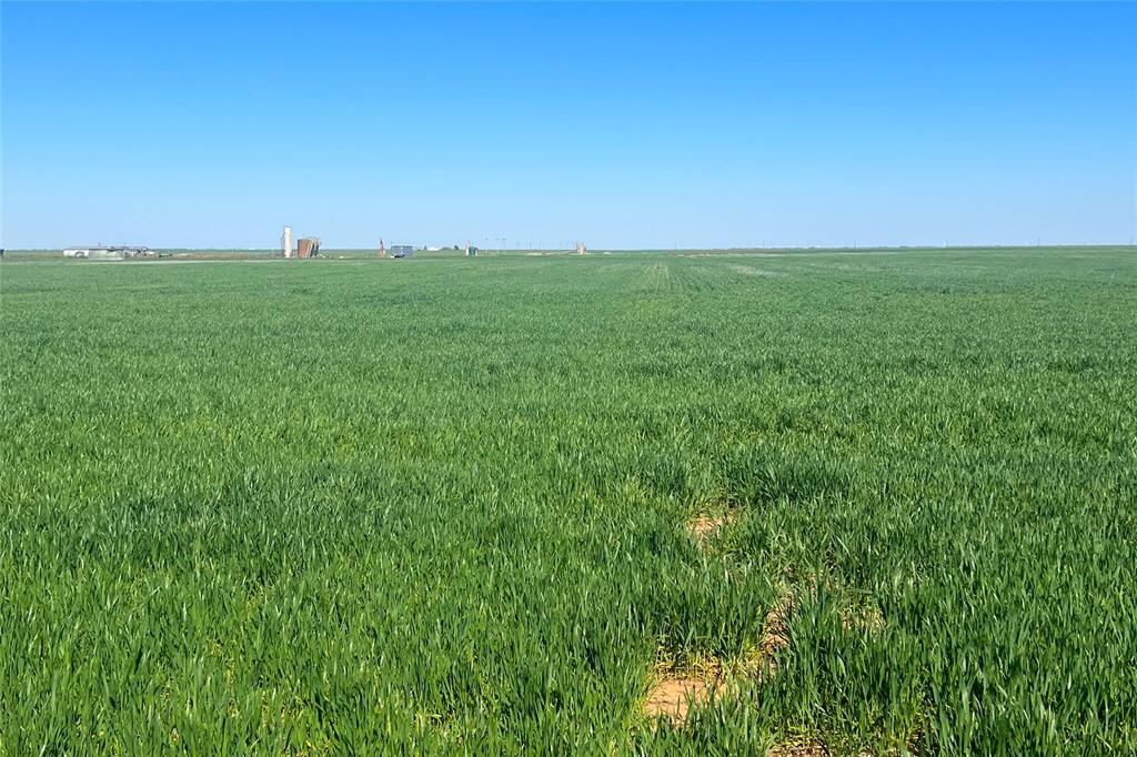 81 County Road 81 South Vernon, TX 76384 - Photo 16 of 28 a view of a field with an ocean