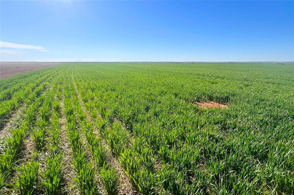 81 County Road 81 South Vernon, TX 76384 - Photo 20 of 28 a view of a big yard with a green space and a lake view