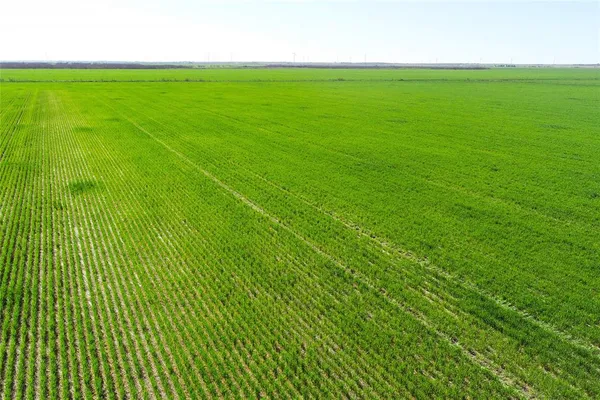 a view of a green field with clear sky
