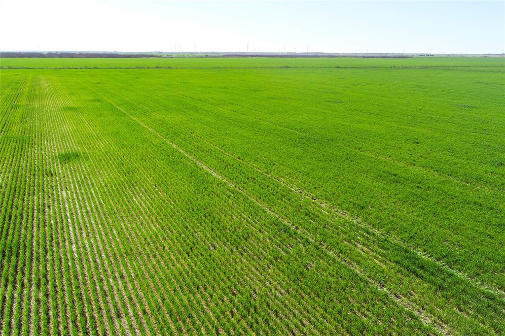 81 County Road 81 South Vernon, TX 76384 - Photo 2 of 28 a view of a green field with clear sky