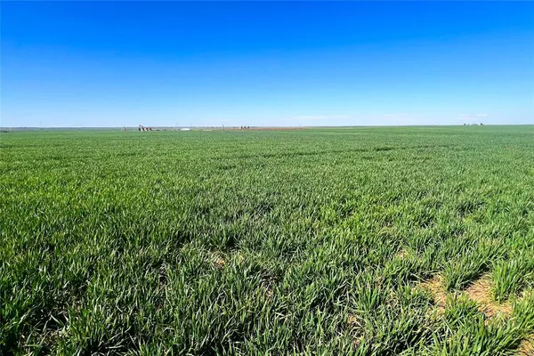 a view of a field with an ocean