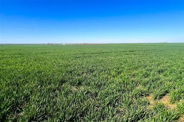 a view of a field with an ocean