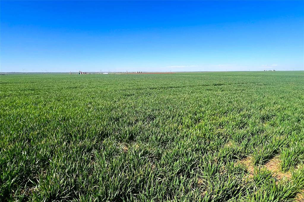 81 County Road 81 South Vernon, TX 76384 - Photo 22 of 28 a view of a field with an ocean