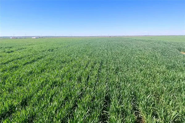 a view of a field with lots of green space
