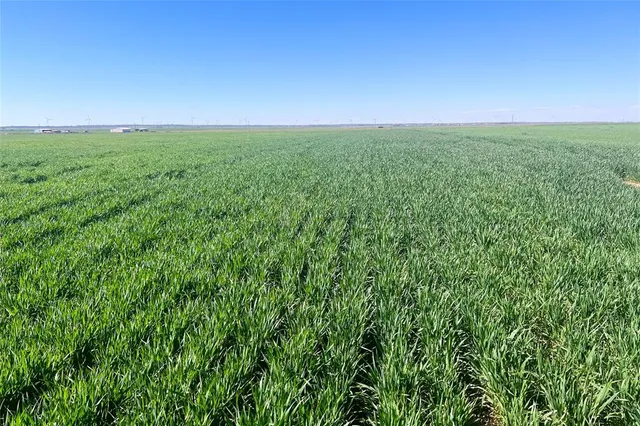 a view of a field with lots of green space