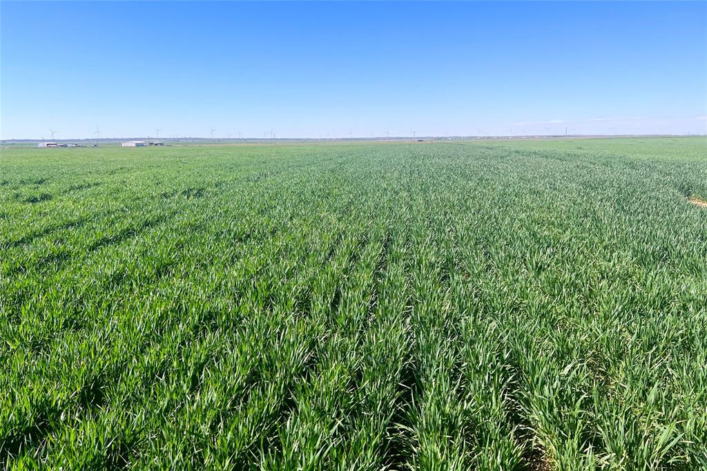 81 County Road 81 South Vernon, TX 76384 - Photo 23 of 28 a view of a field with lots of green space