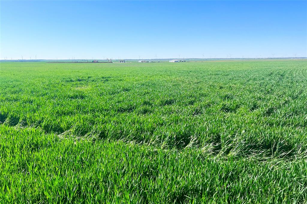 81 County Road 81 South Vernon, TX 76384 - Photo 24 of 28 a view of yard with swimming pool