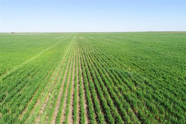 a view of yard with swimming pool