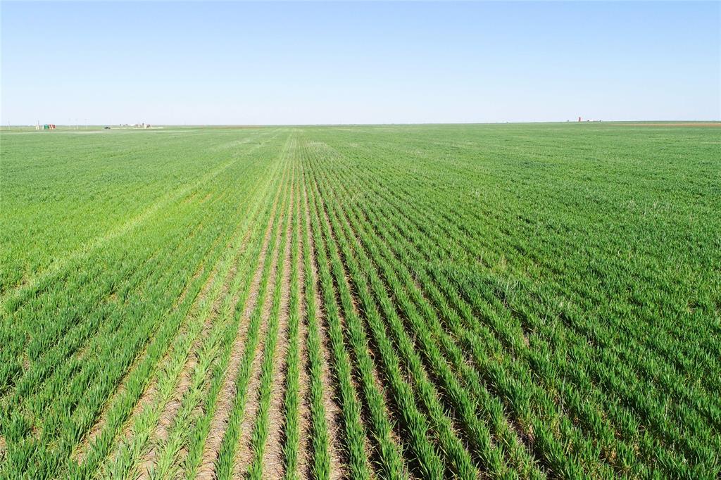 81 County Road 81 South Vernon, TX 76384 - Photo 7 of 28 a view of yard with swimming pool