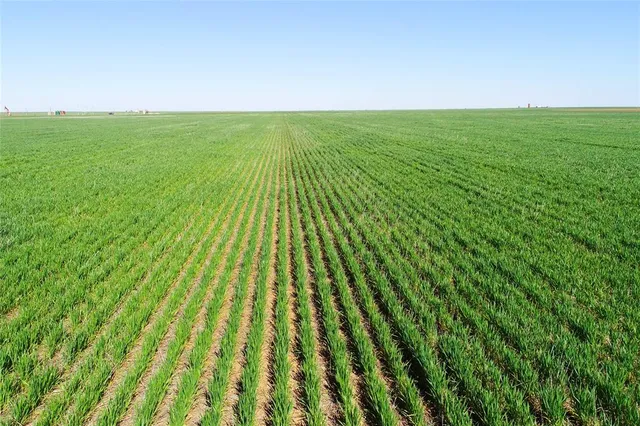 a view of yard with swimming pool