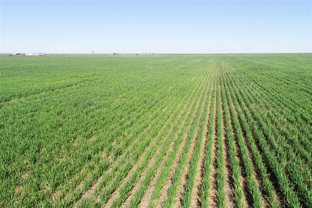 81 County Road 81 South Vernon, TX 76384 - Photo 9 of 28 a view of yard with an ocean