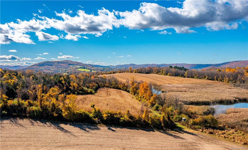 Bull Farm is 389 exceptional acres. The gentle topography of rolling hills creates stunning views of the pastoral setting of the Harlem Valley.