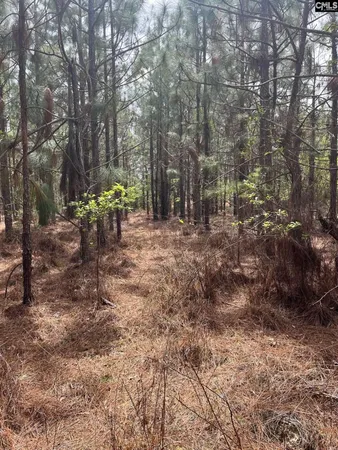$149,900 | 3 Beaver Dam Road, Cassatt, SC 29032