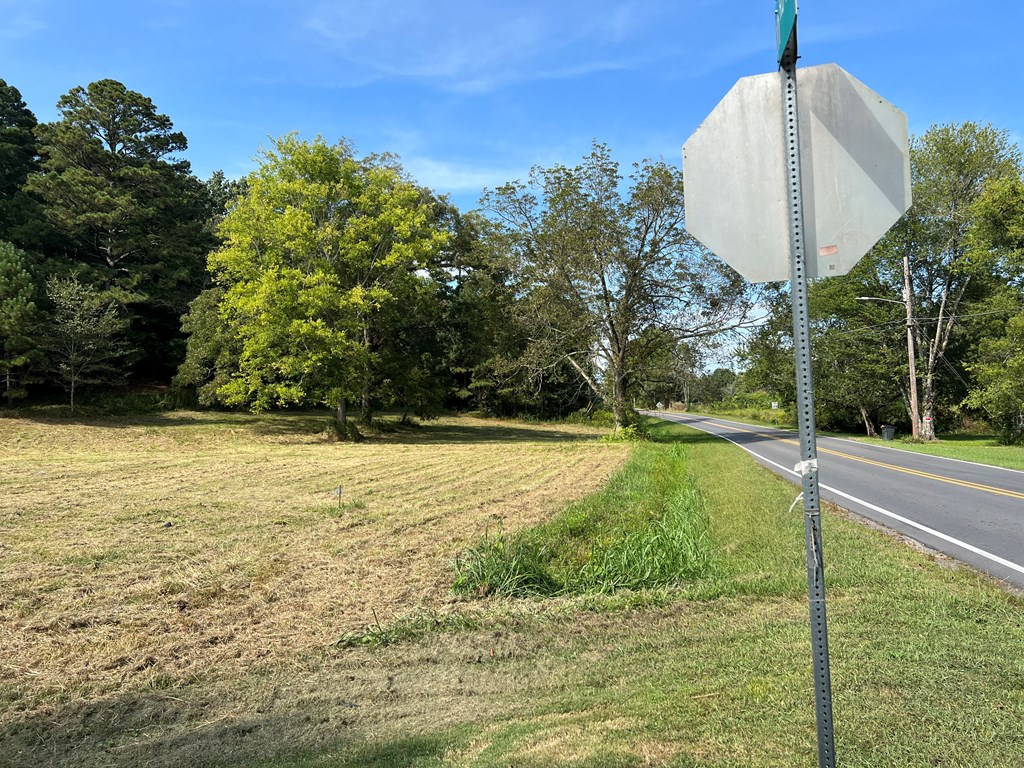 Lot 2 Apison Road Cohutta, GA 30710 - Photo 2 of 5 Gallery Image 2
