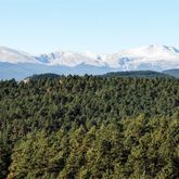 $1,600,000 | 2495 Legacy Ranch Road, Evergreen, CO 80439