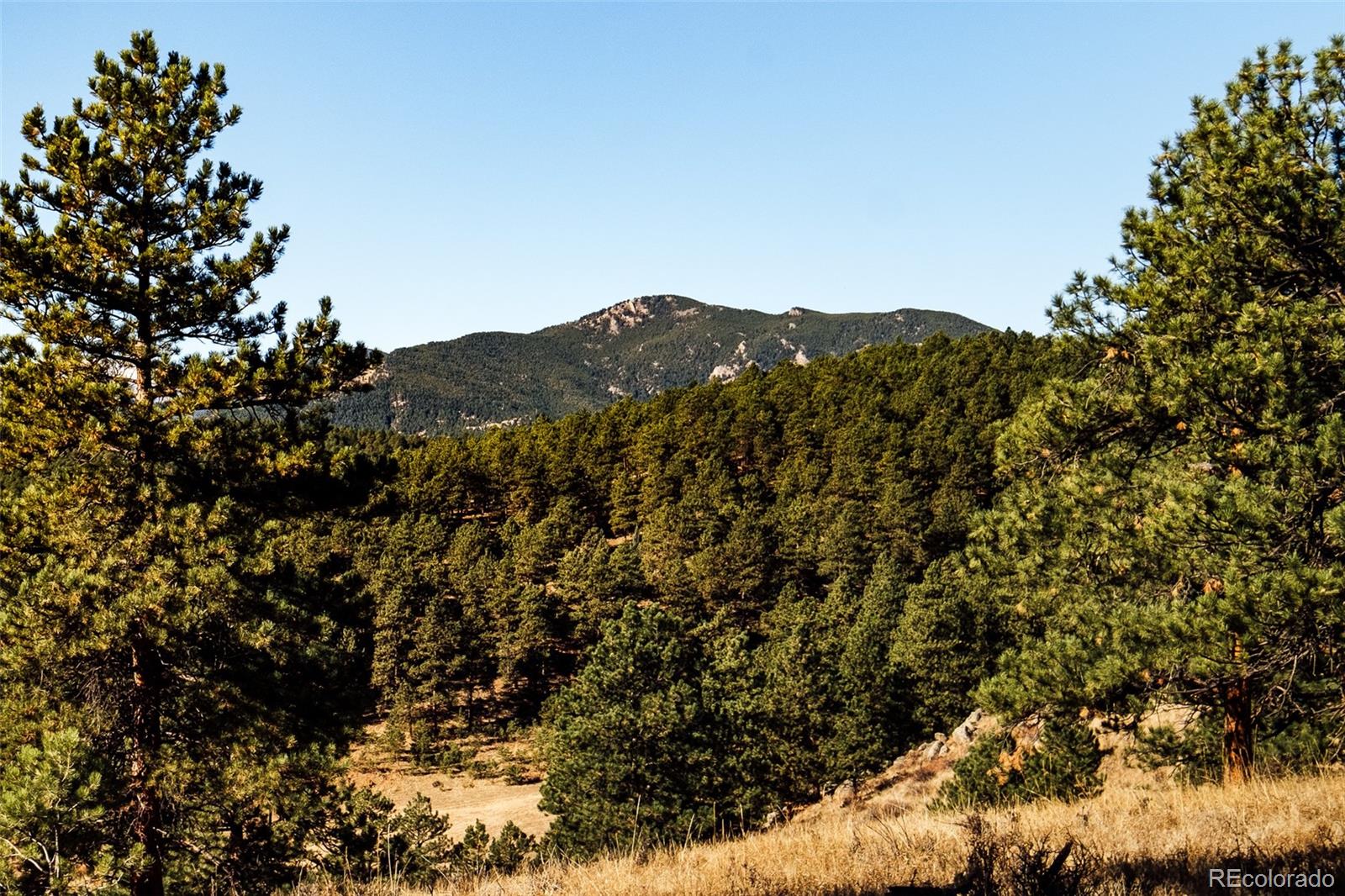 2495 Legacy Ranch Road Evergreen, CO 80439 - Photo 2 of 16