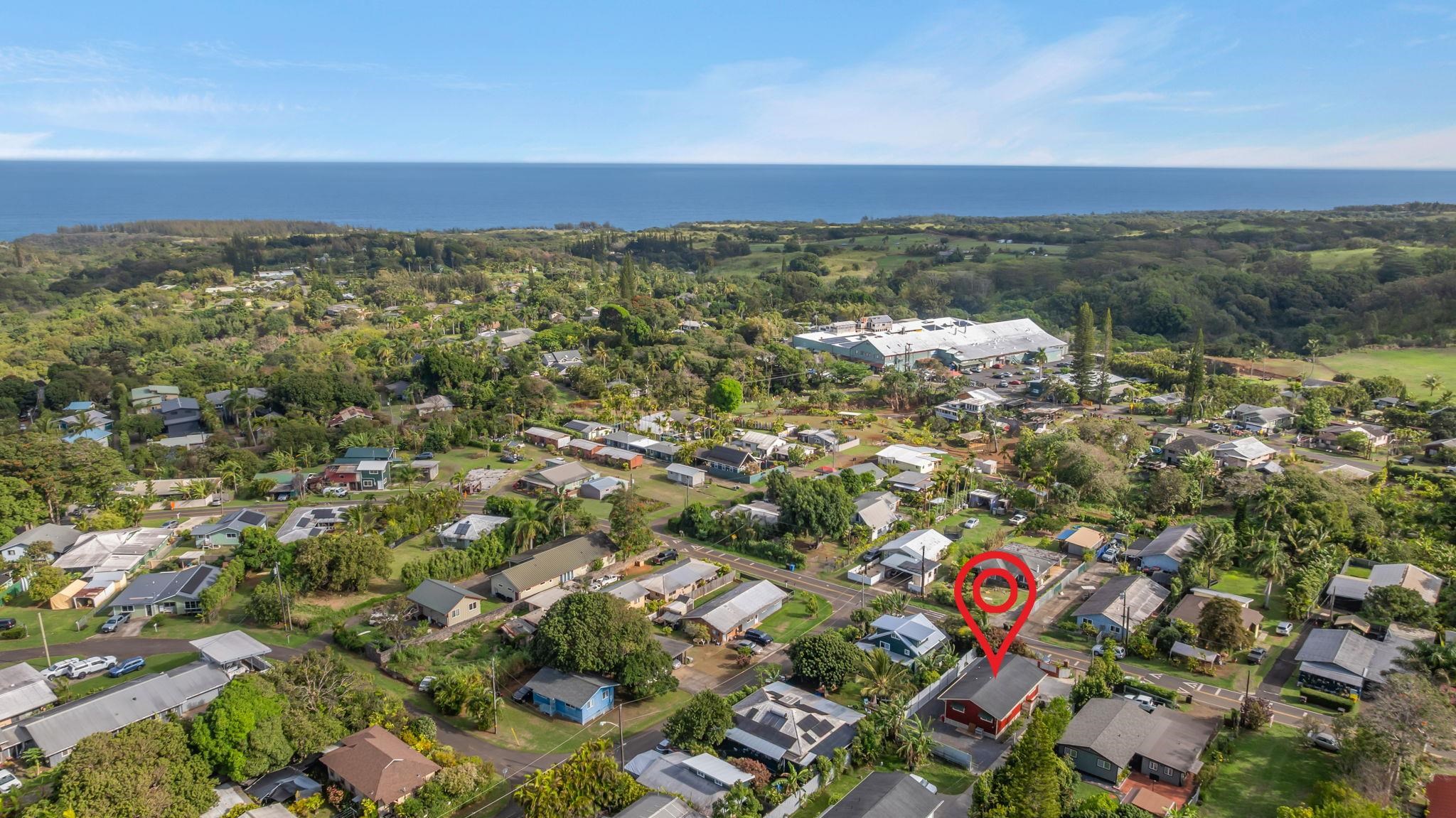 view of city and green space