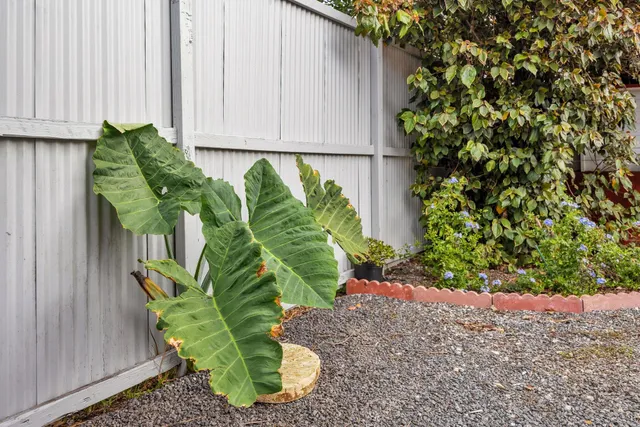 view of city and mountain