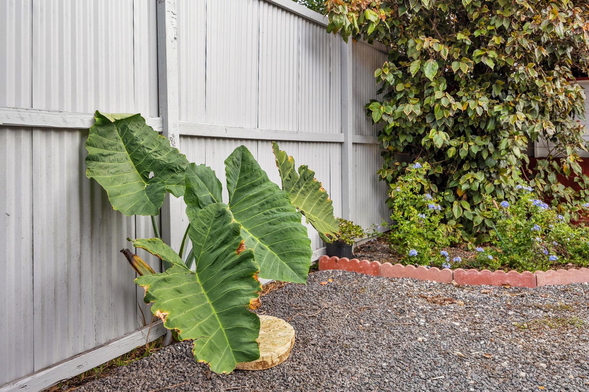 1702 Haiku Road, Unit B Haiku, HI 96708 - Photo 37 of 43