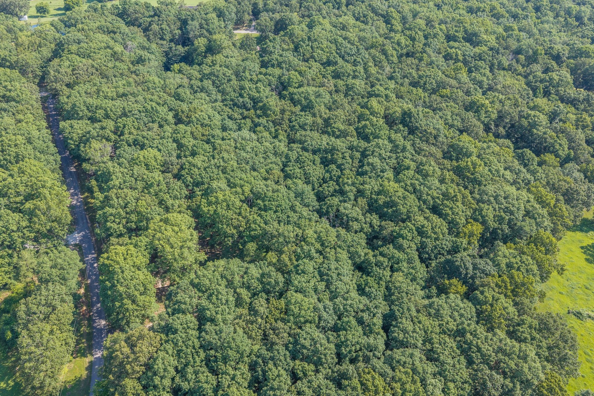 175 Taylor Road Dickson, TN 37055 - Photo 8 of 9