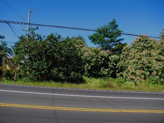 17-546 Volcano Road Kurtistown, HI 96760 - Photo 1 of 2 Gallery Image 1