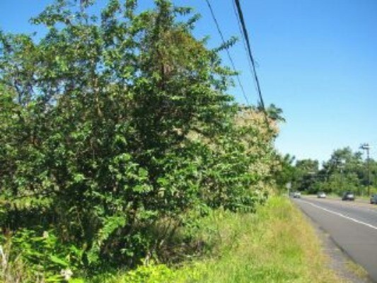 17-546 Volcano Road Kurtistown, HI 96760 - Photo 2 of 2 Gallery Image 2