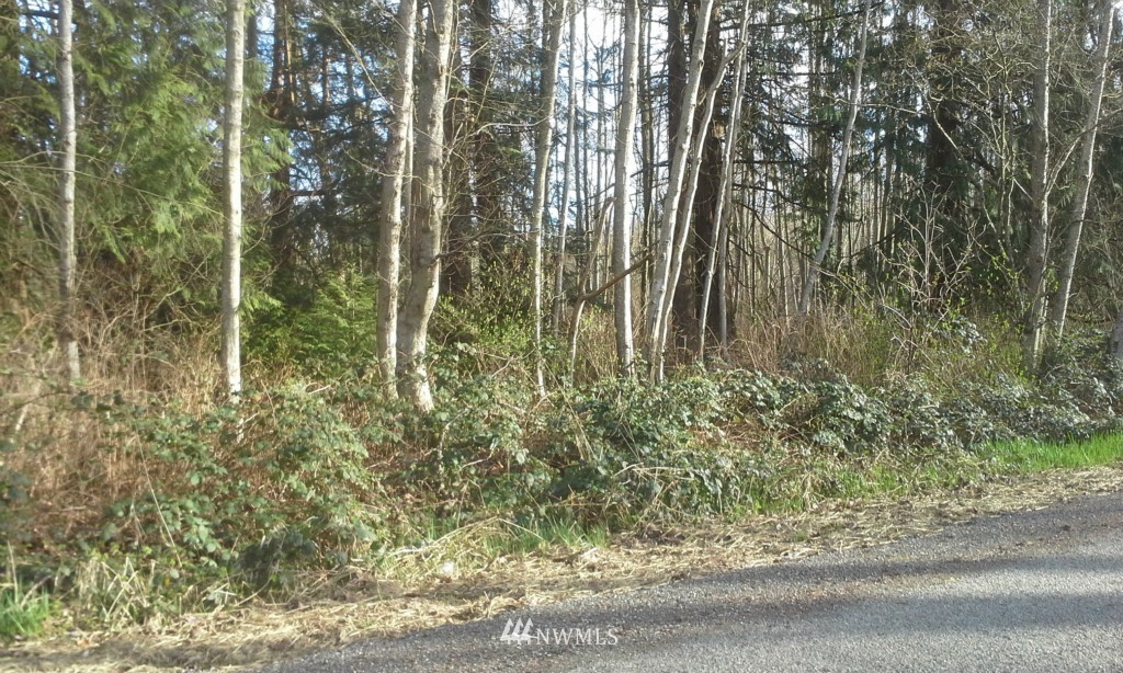 17 Harnden Road Bellingham, WA 98226 - Photo 1 of 3 Gallery Image 1