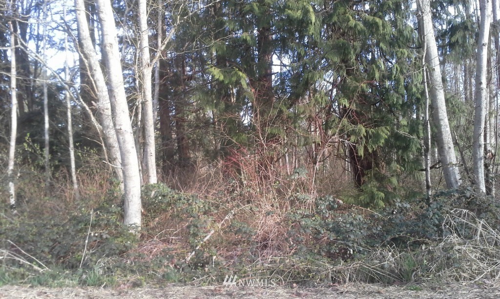 17 Harnden Road Bellingham, WA 98226 - Photo 2 of 3 Gallery Image 2