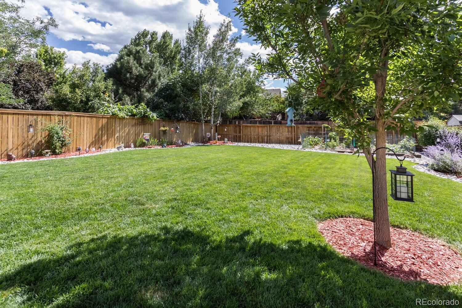 9748 South Castle Ridge Circle Highlands Ranch, CO 80129 - Photo 23 of 25 Gallery Image 23