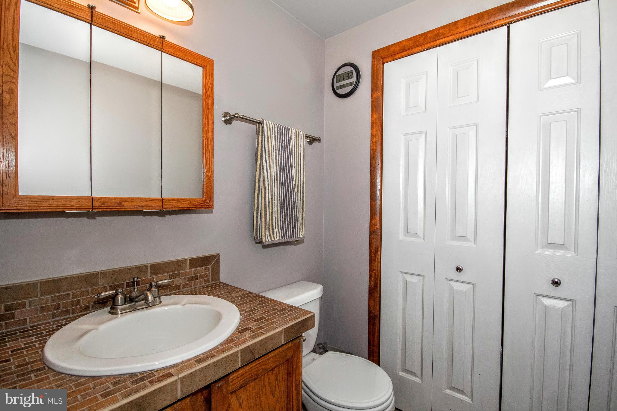 515 Silver Run Valley Road Westminster, MD 21158 - Photo 17 of 30 Bath (Master)