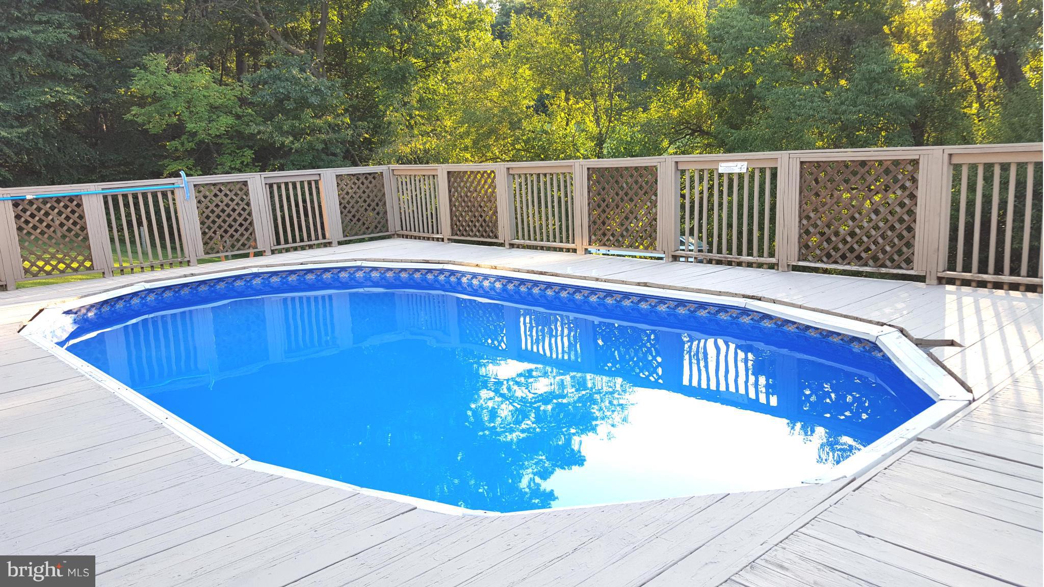 515 Silver Run Valley Road Westminster, MD 21158 - Photo 4 of 30 POOL PARTY
